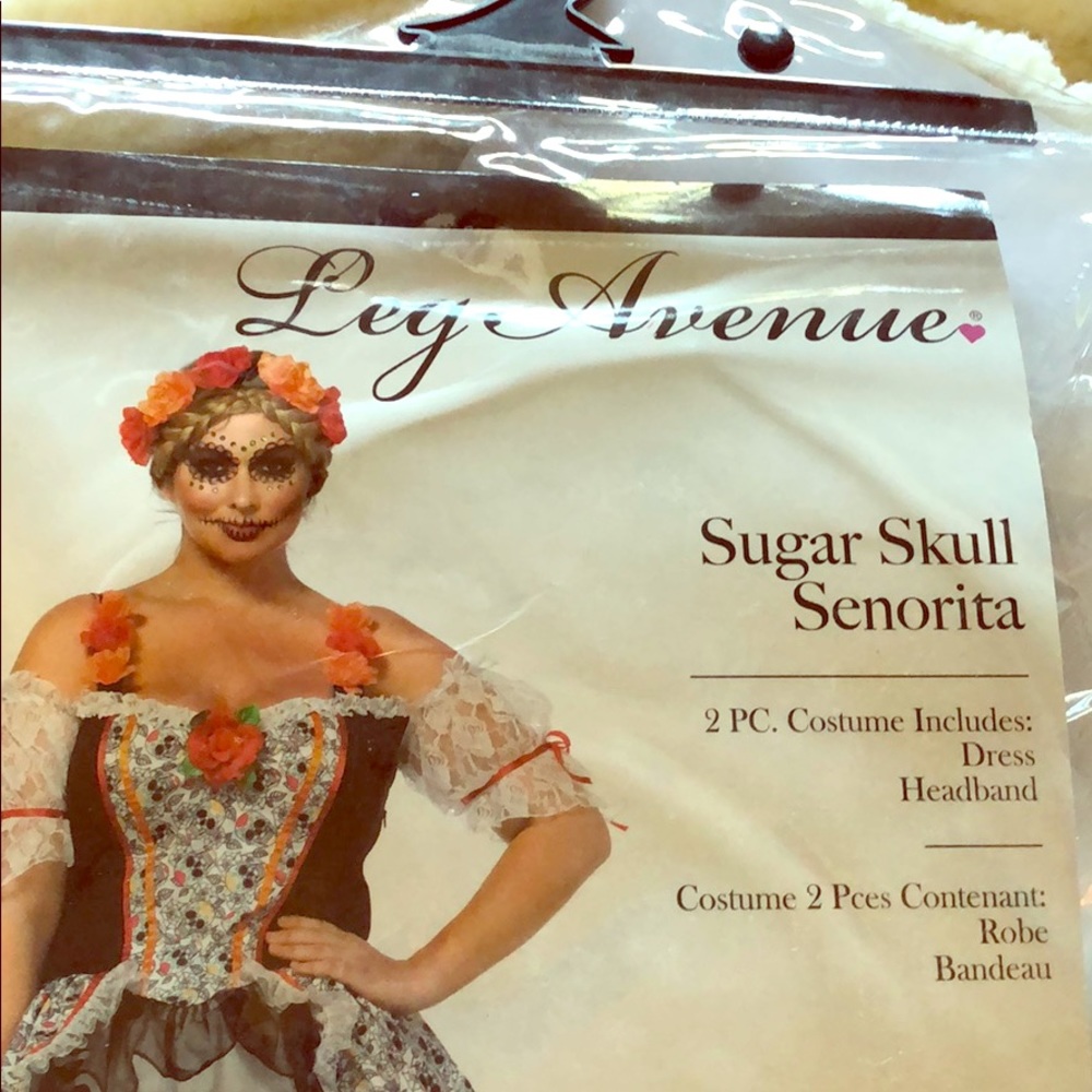 Sugar scull plus size costume!